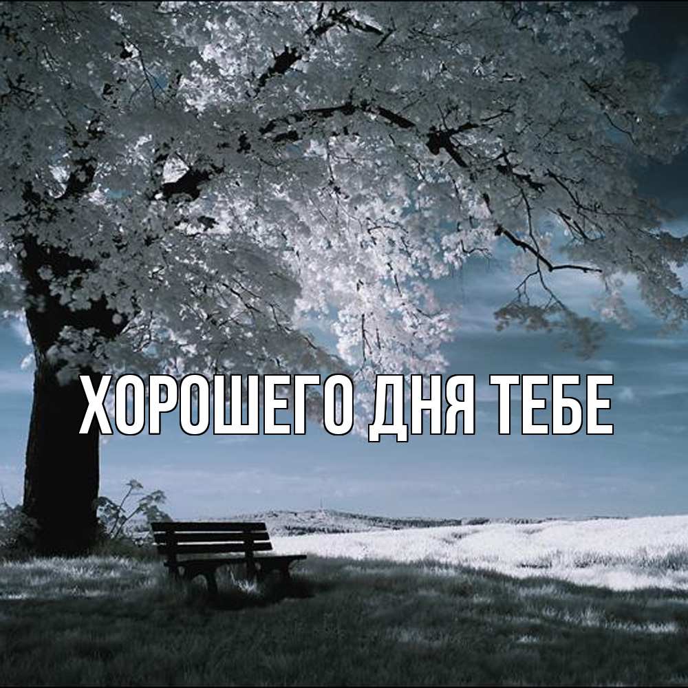 Открытка на каждый день с именем, Клемент Обнимашки дерево Прикольная открытка с пожеланием онлайн скачать бесплатно 