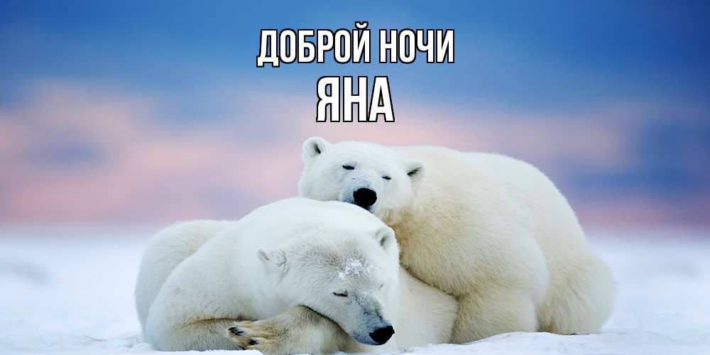 Открытка на каждый день с именем, Яна Доброй ночи белые медведи спят в обнимку Прикольная открытка с пожеланием онлайн скачать бесплатно 