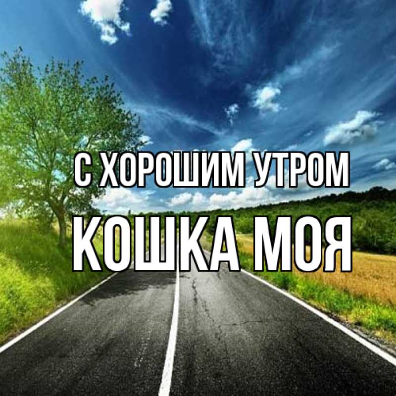 Картинка С хорошим утром, Кошка моя