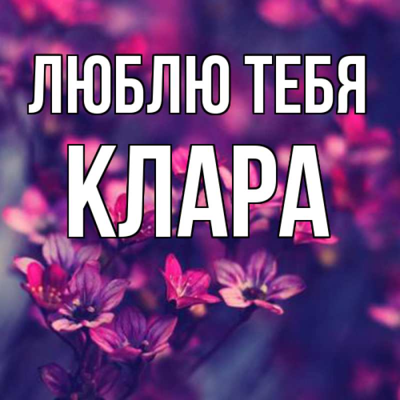 Картинка Люблю тебя, Клара