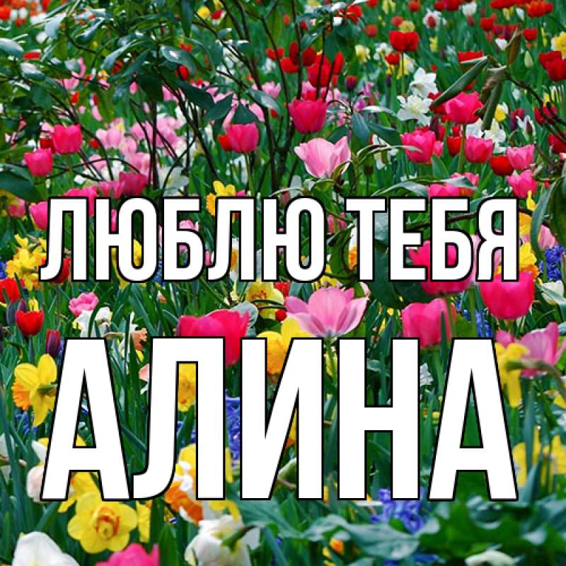 Картинка Люблю тебя, Алина
