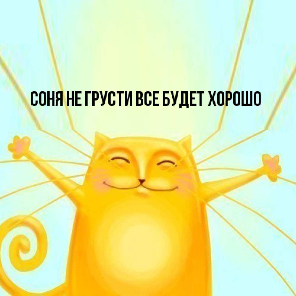 Открытка на каждый день с именем, Соня Не грусти все будет хорошо обнимашки усатые Прикольная открытка с пожеланием онлайн скачать бесплатно 