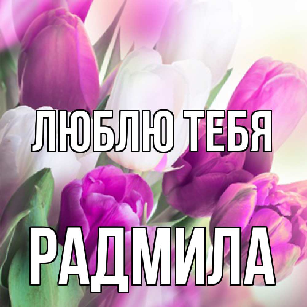 Открытка на каждый день с именем, Радмила Люблю тебя весна 1 Прикольная открытка с пожеланием онлайн скачать бесплатно 