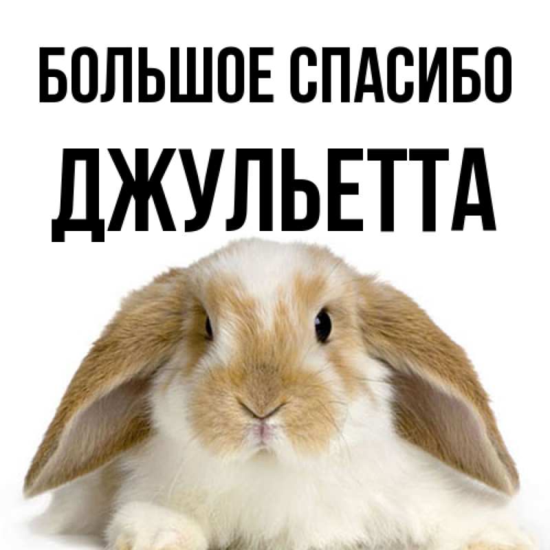 Картинка Большое спасибо, Джульетта
