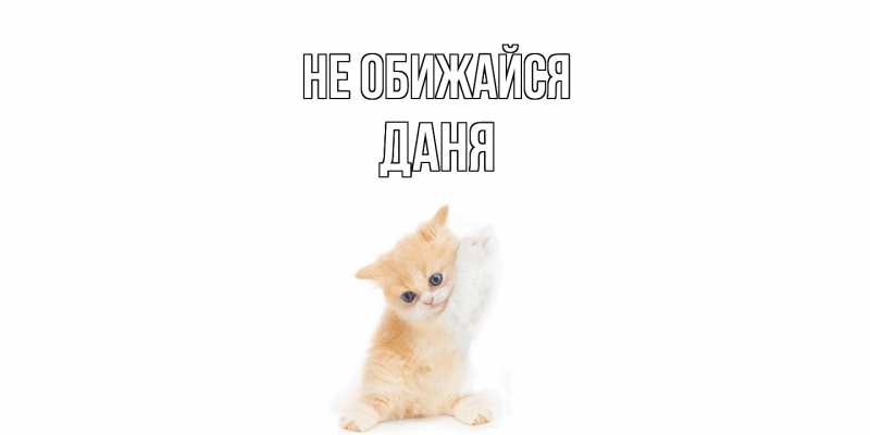 Картинка Не обижайся, Даня