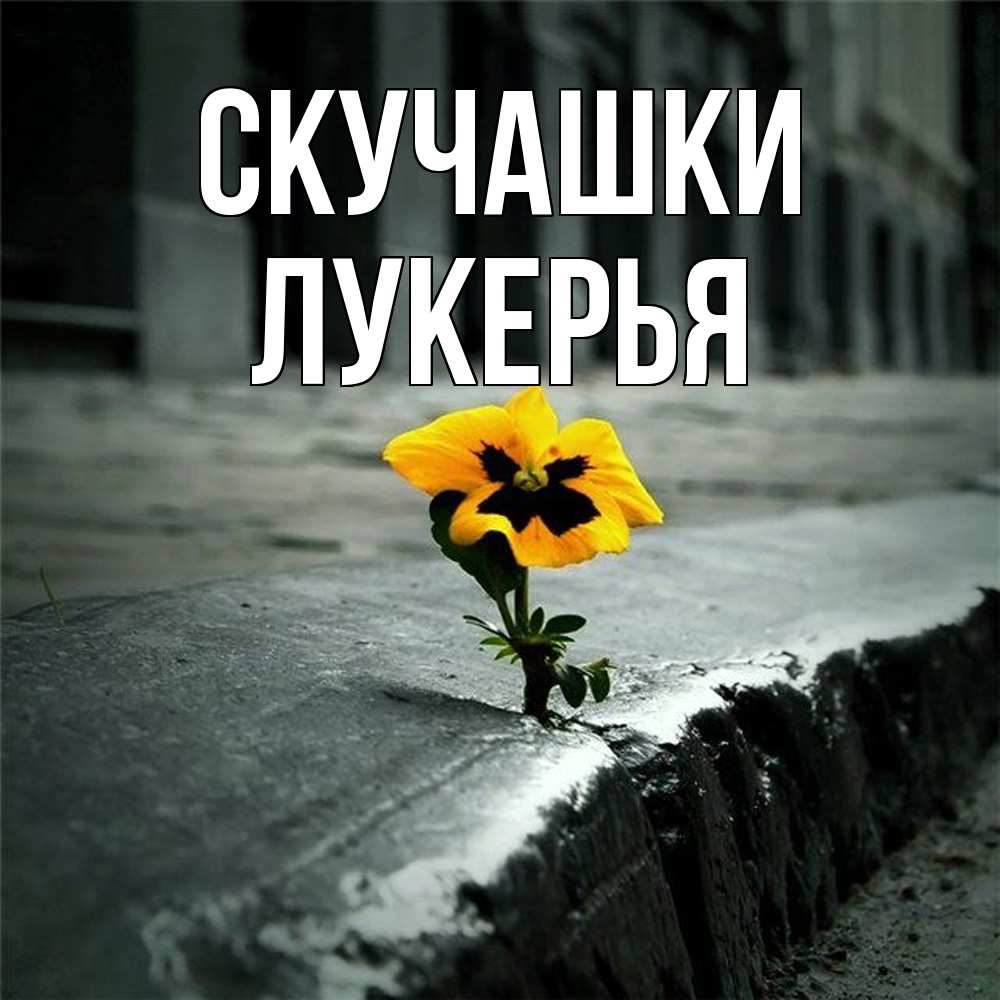 Открытка на каждый день с именем, Лукерья Скучашки надеюсь будет лучше Прикольная открытка с пожеланием онлайн скачать бесплатно 