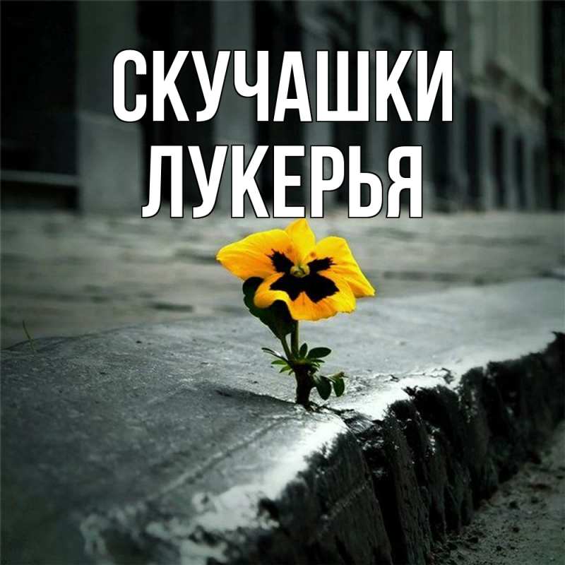 Картинка Скучашки, Лукерья