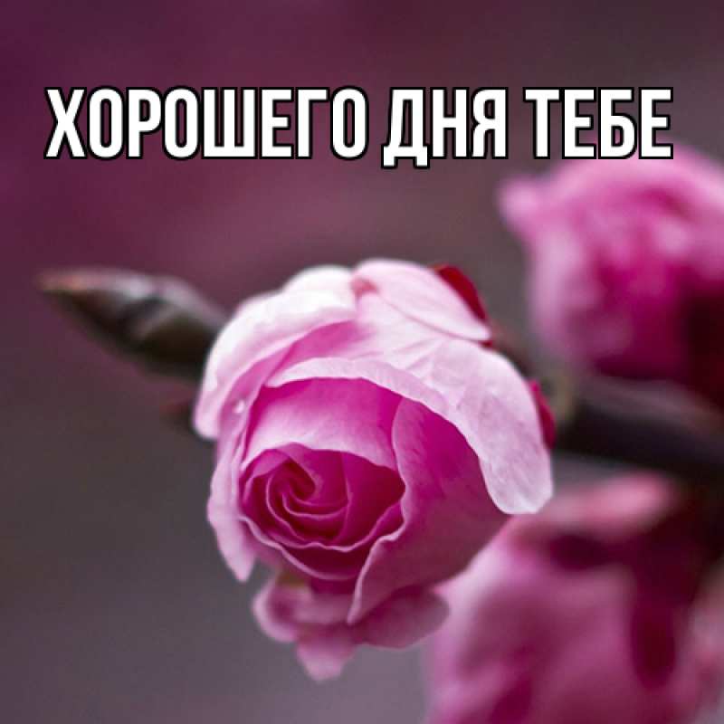 Открытка с именем, Прохор, Люблю тебя