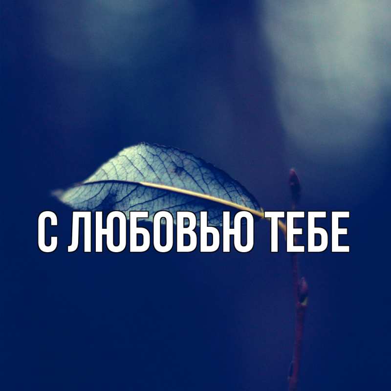 Открытка с именем, Мирра, Скучашки