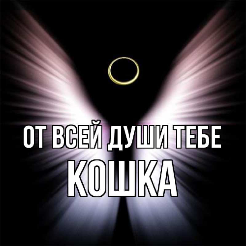 Картинка От всей души тебе, Кошка