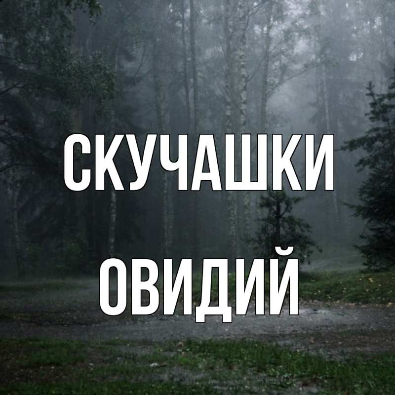 Картинка Скучашки, Овидий
