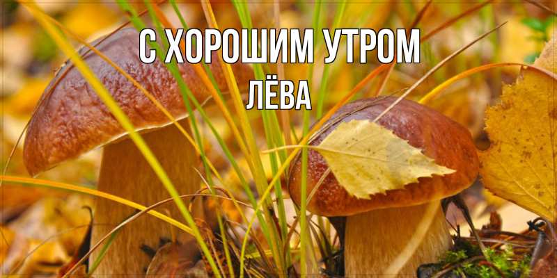 Картинка С хорошим утром, Лёва