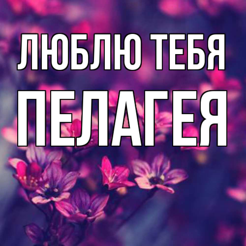 Открытка на каждый день с именем, Пелагея Люблю тебя небольшие цветы 1 Прикольная открытка с пожеланием онлайн скачать бесплатно 