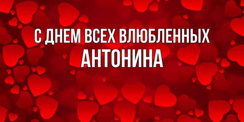 Картинка С днем всех влюбленных, Антонина