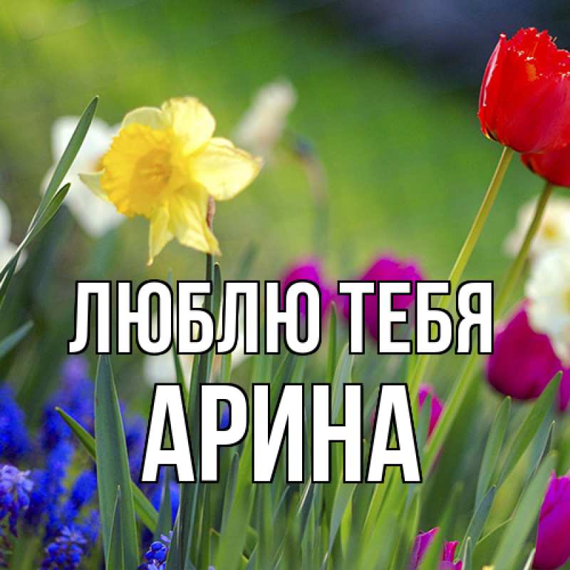 Картинка Люблю тебя, Арина