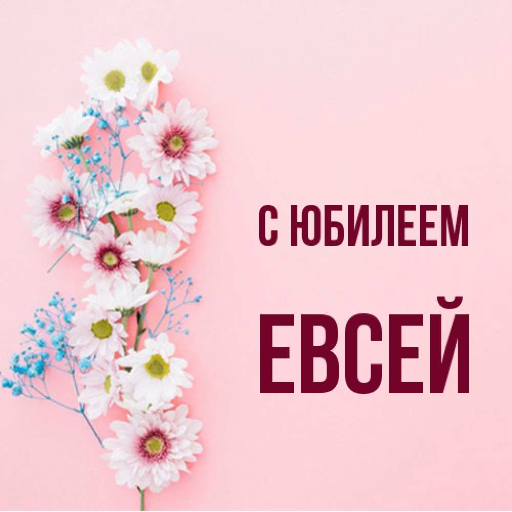 Открытка на каждый день с именем, Евсей C юбилеем Родная моя с днем рождения тебя картинка с цветами белыми и голубыми Прикольная открытка с пожеланием онлайн скачать бесплатно 