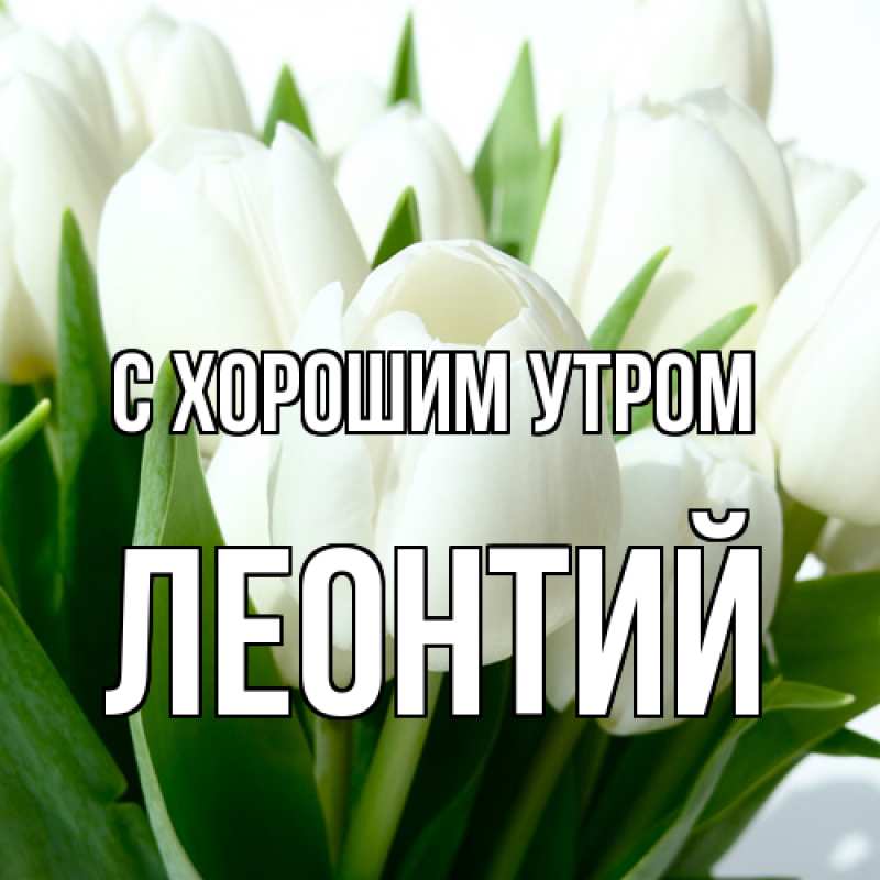 Картинка С хорошим утром, Леонтий