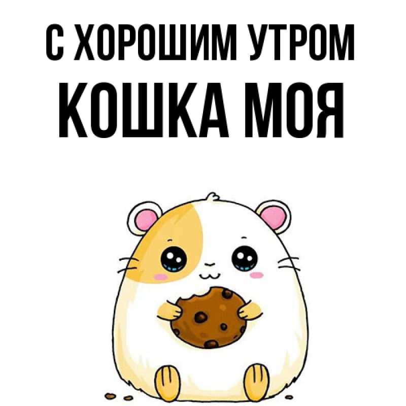Картинка С хорошим утром, Кошка моя