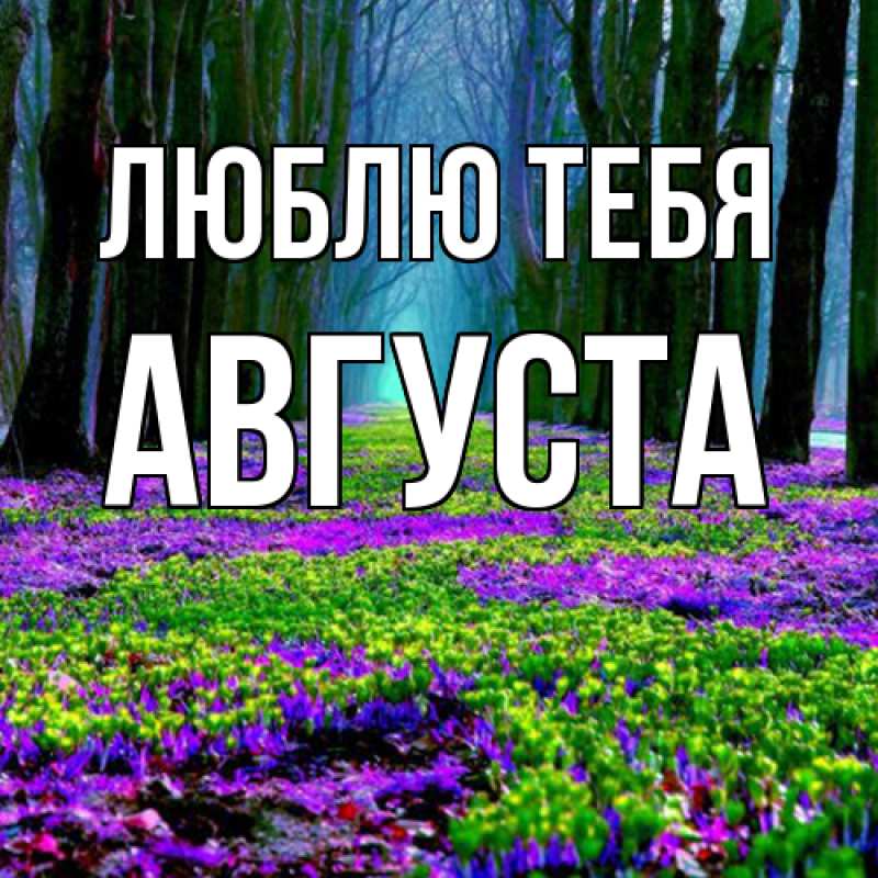 Картинка Люблю тебя, Августа