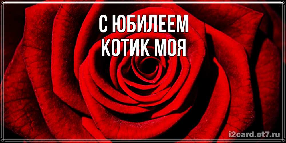 Открытка на каждый день с именем, Котик-моя C юбилеем алая роза Прикольная открытка с пожеланием онлайн скачать бесплатно 