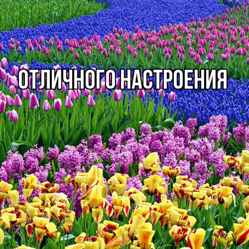 Картинка Люблю тебя, Габриэлла