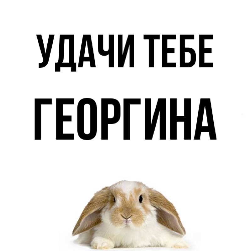Картинка Удачи тебе, Георгина