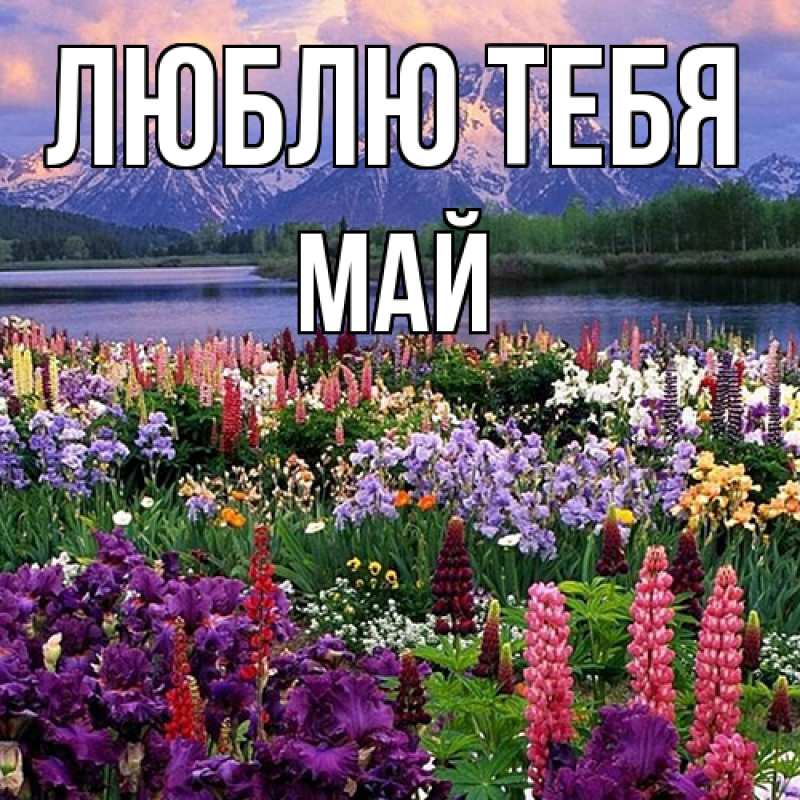 Картинка Люблю тебя, Май