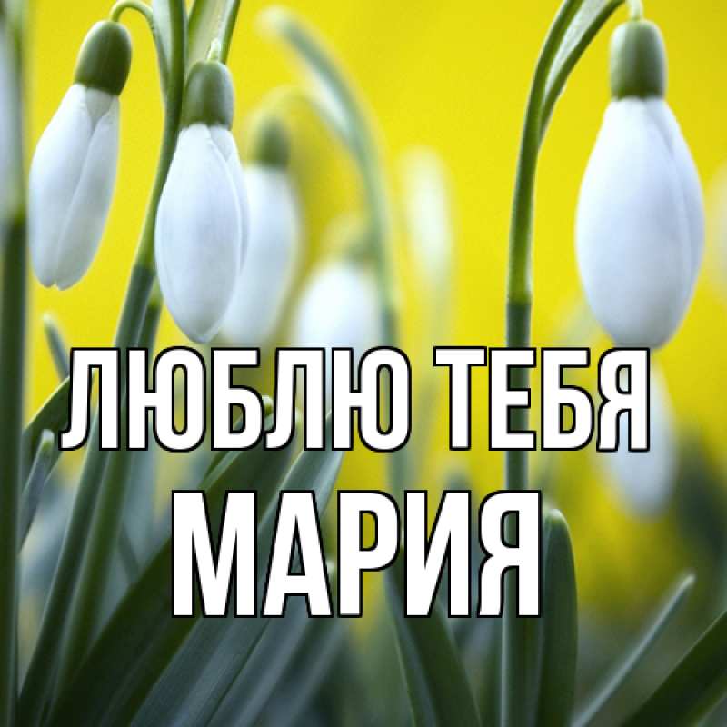 Картинка Люблю тебя, Мария