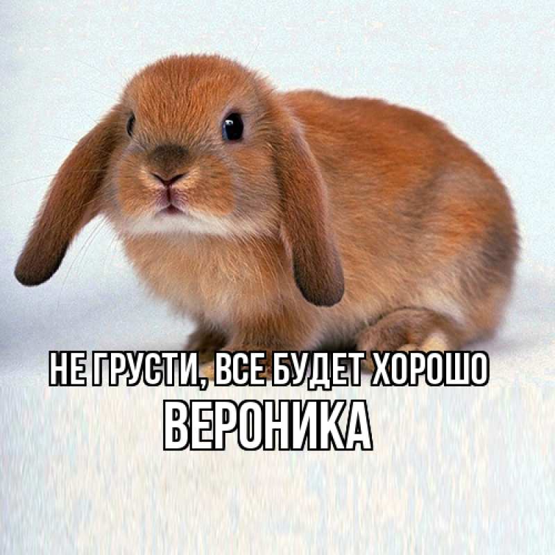 Картинка Не грусти, все будет хорошо, Вероника
