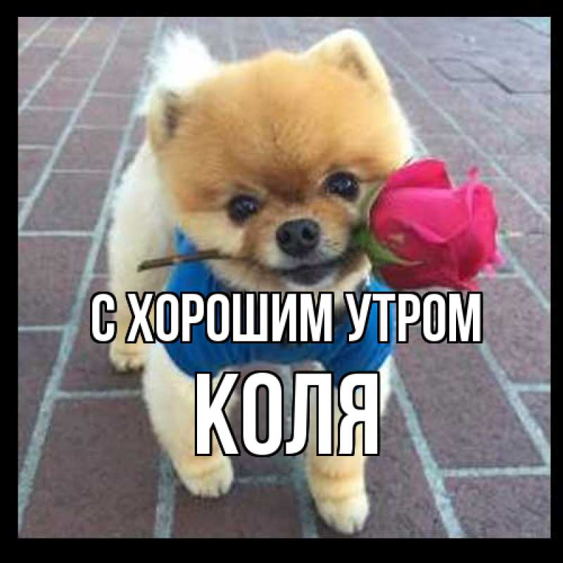 Картинка С хорошим утром, Коля