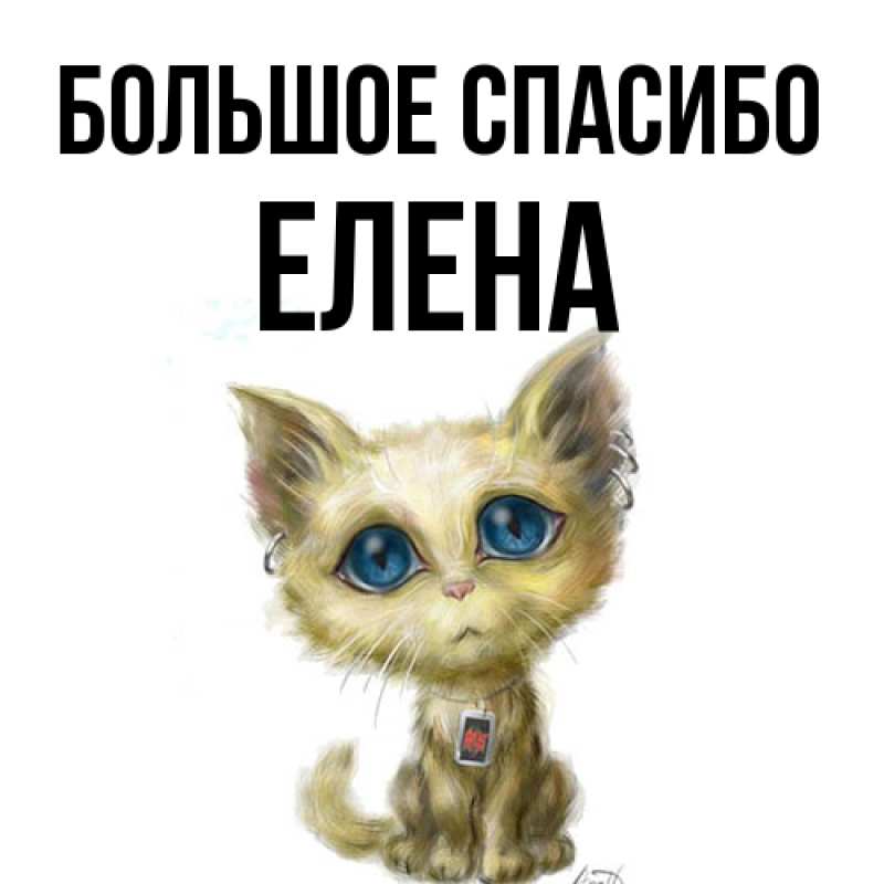 Картинка Большое спасибо, Елена