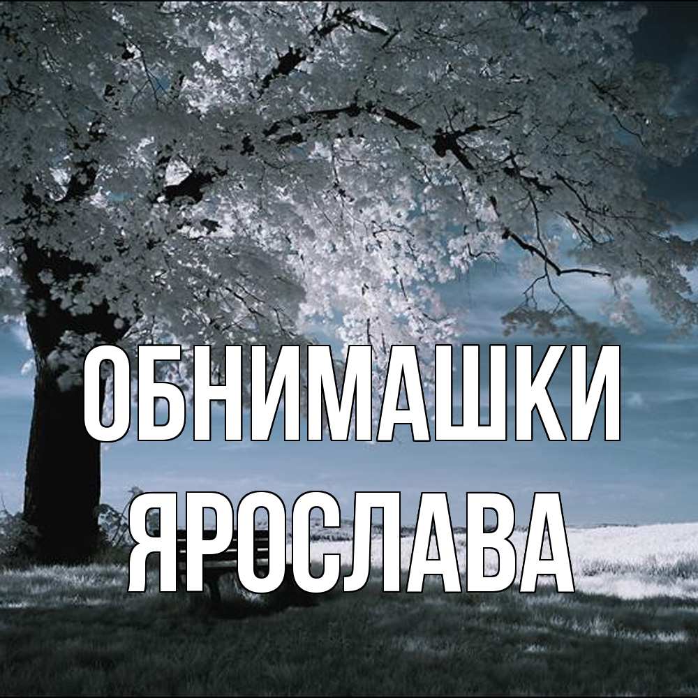 Открытка на каждый день с именем, Ярослава Обнимашки дерево Прикольная открытка с пожеланием онлайн скачать бесплатно 