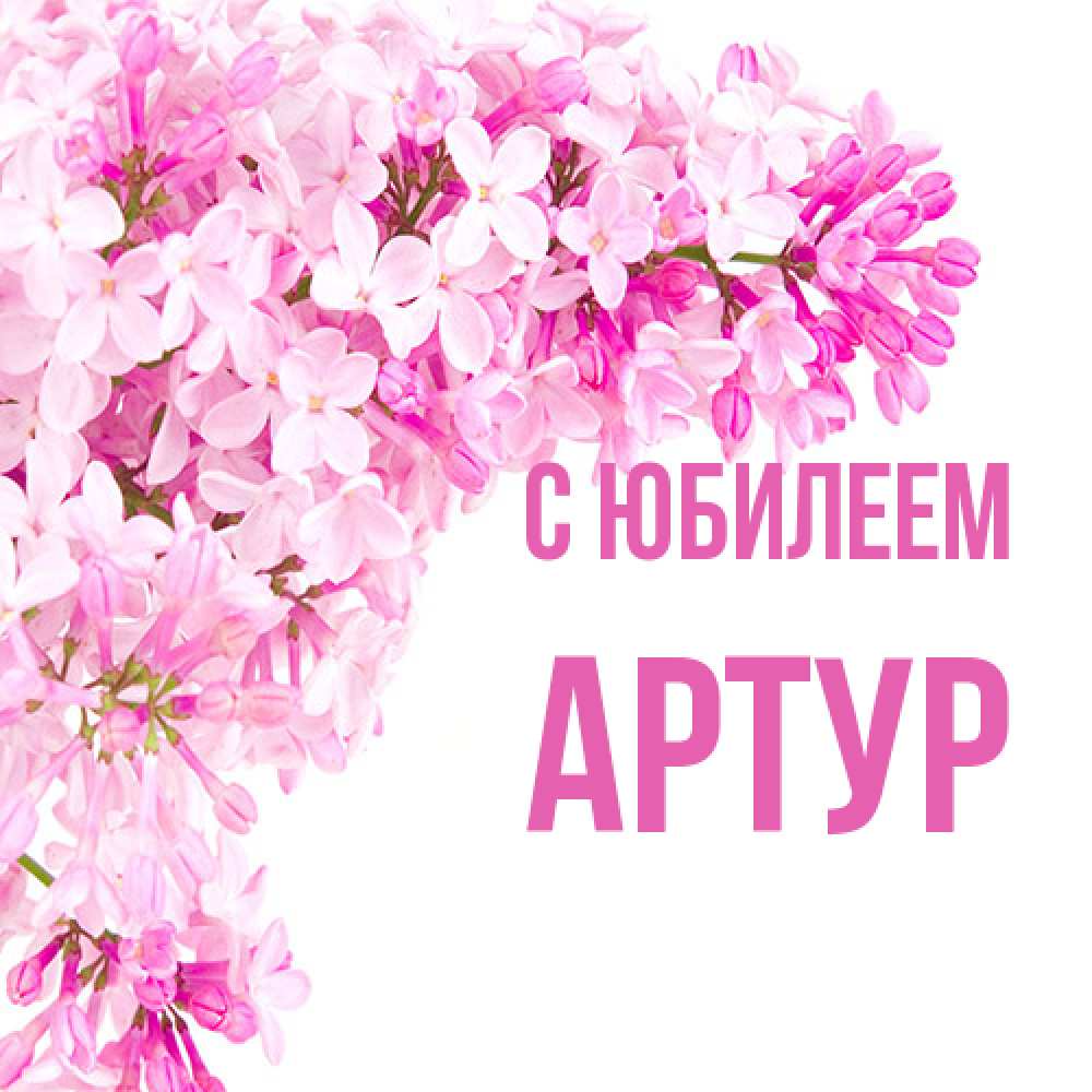 Открытка на каждый день с именем, Артур C юбилеем Сирень на белом фоне Прикольная открытка с пожеланием онлайн скачать бесплатно 