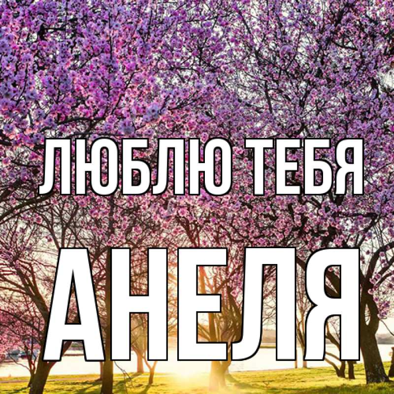 Картинка Люблю тебя, Анеля