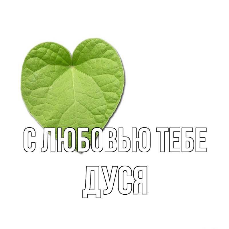 Картинка С любовью тебе, Дуся
