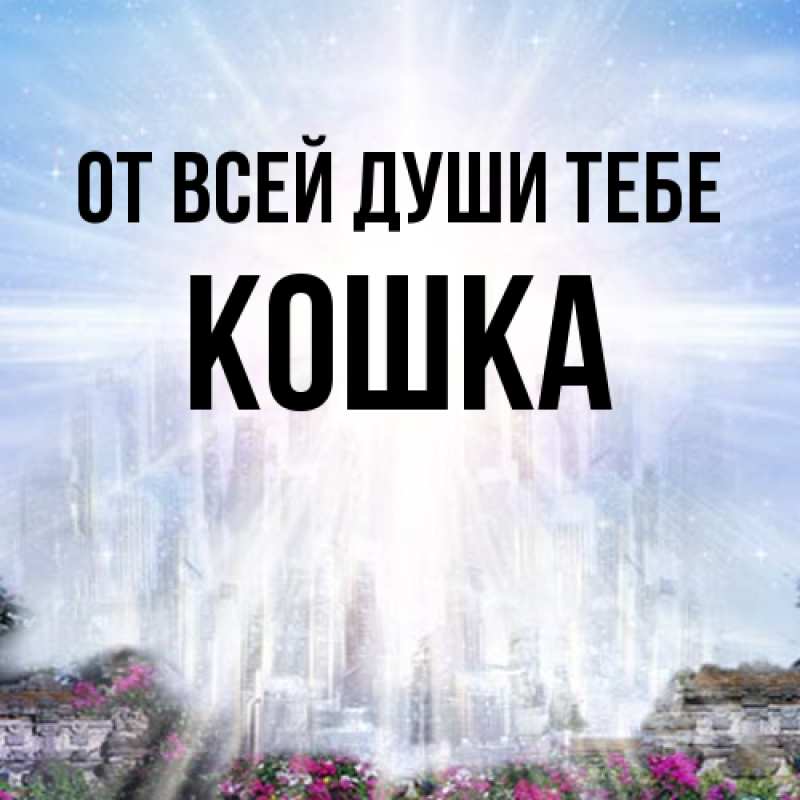 Картинка От всей души тебе, Кошка