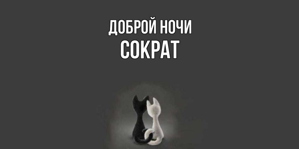 Открытка на каждый день с именем, Сократ Доброй ночи коты Прикольная открытка с пожеланием онлайн скачать бесплатно 