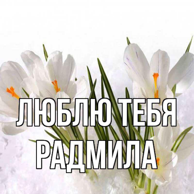 Картинка Люблю тебя, Радмила