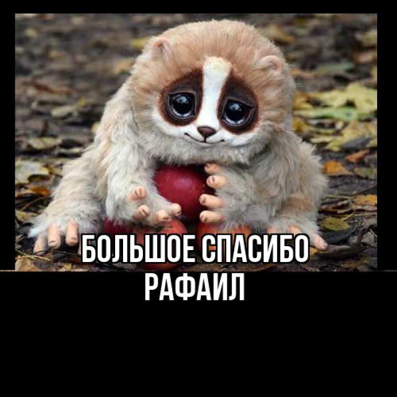 Открытка с именем, Рафаил, Большое спасибо