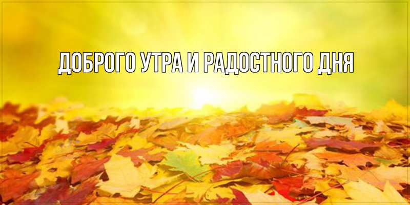Картинка Доброго утра и радостного дня, 