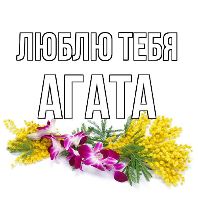 Картинка Люблю тебя, Агата