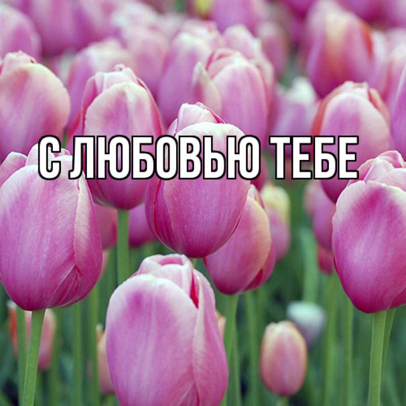 Картинка Люблю тебя, Май