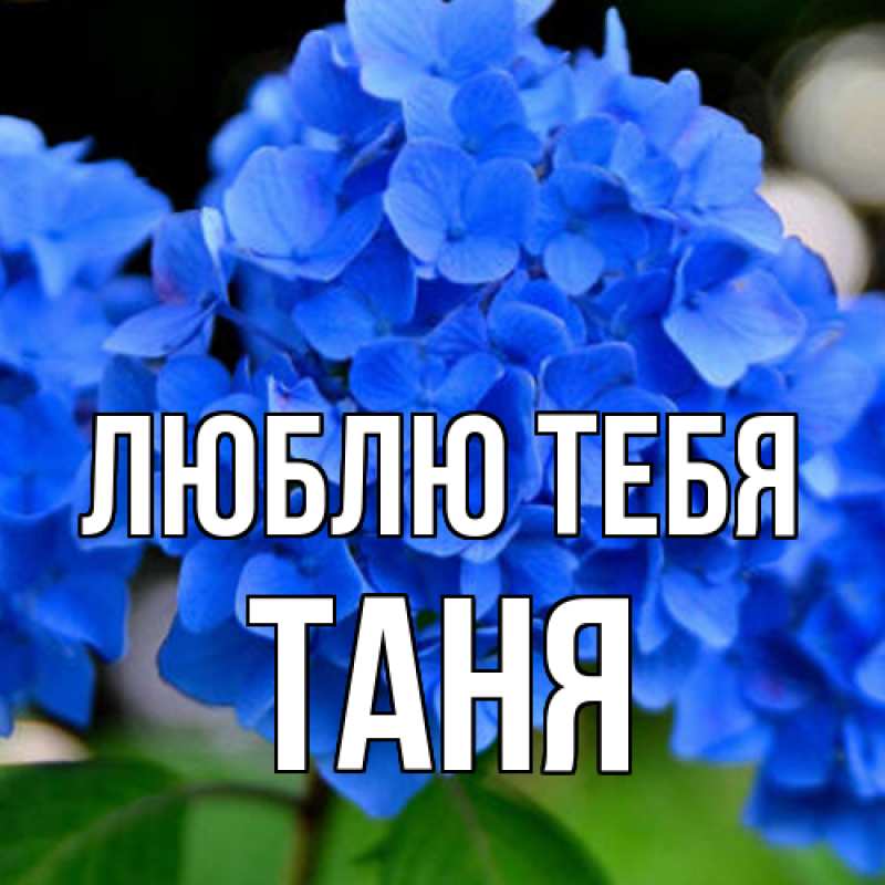 Картинка Люблю тебя, Таня