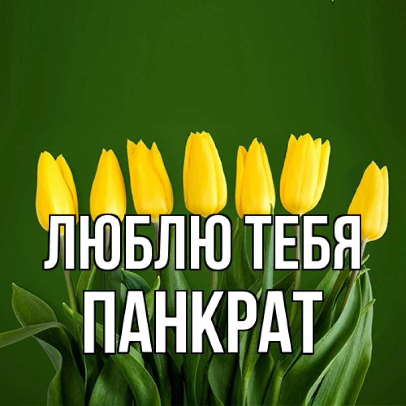Открытка с именем, Панкрат, Люблю тебя