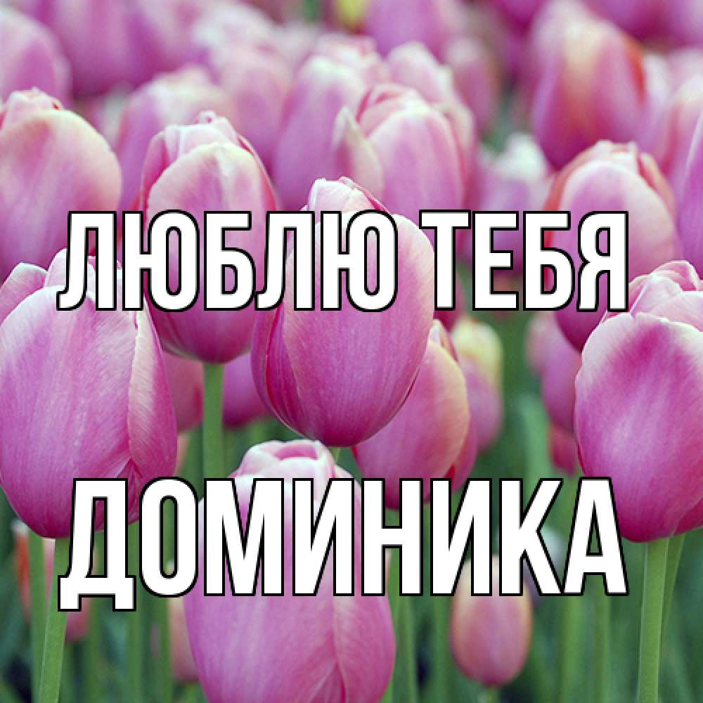 Открытка на каждый день с именем, Доминика Люблю тебя на международный женский день 3 Прикольная открытка с пожеланием онлайн скачать бесплатно 