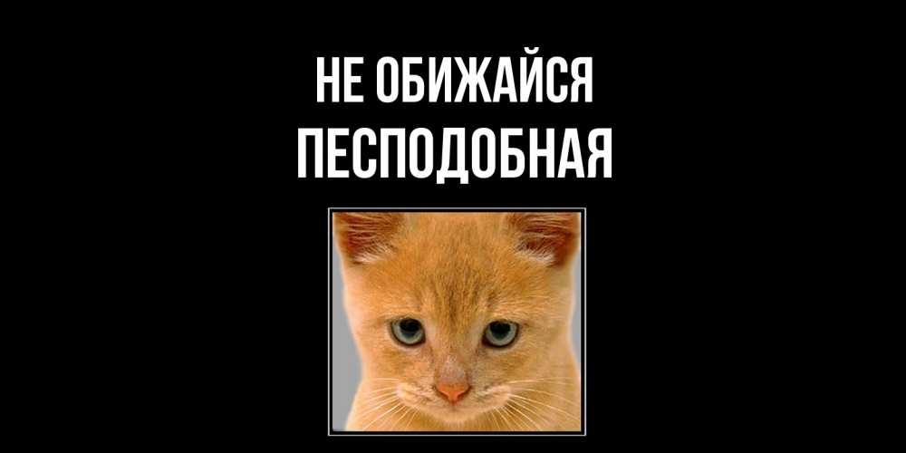 Открытка на каждый день с именем, Песподобная Не обижайся рыжий грустный кот просит прощения Прикольная открытка с пожеланием онлайн скачать бесплатно 