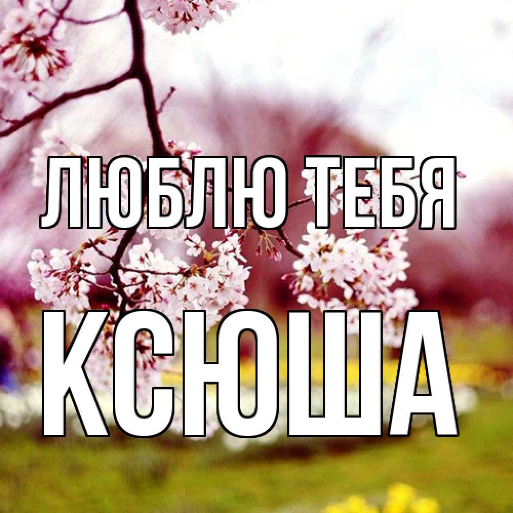 Открытка на каждый день с именем, Ксюша Люблю тебя яблоня Прикольная открытка с пожеланием онлайн скачать бесплатно 