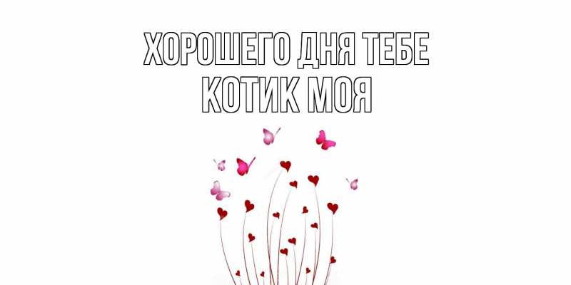 Картинка Хорошего дня тебе, Котик моя