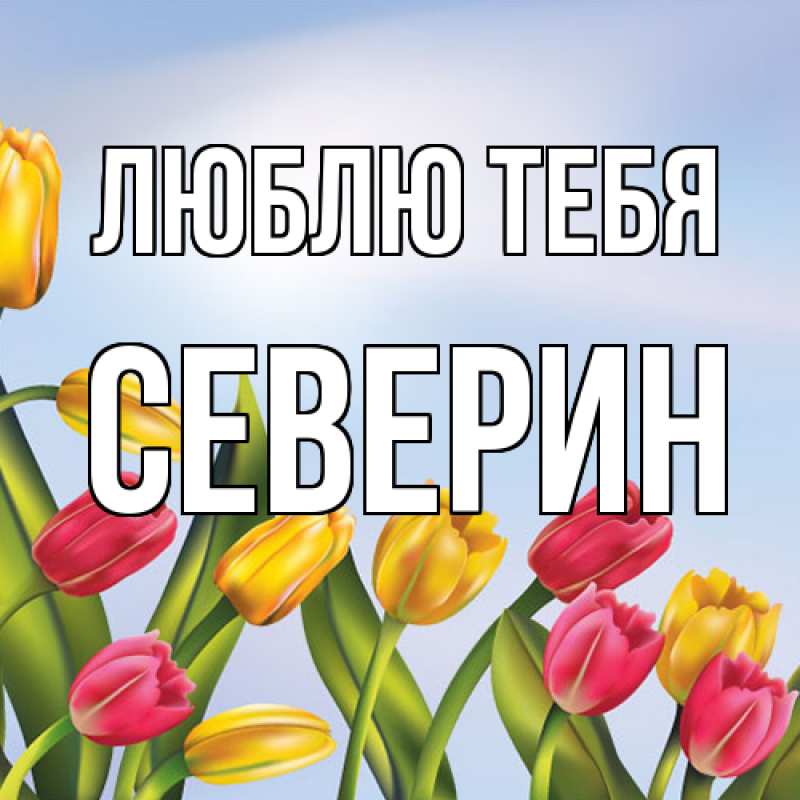 Картинка Люблю тебя, Северин