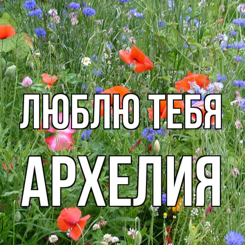 Картинка Люблю тебя, Архелия
